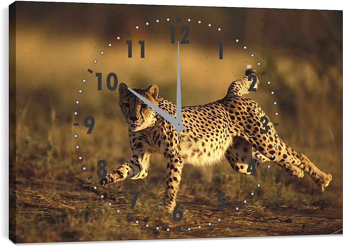 Часы картина - Гепард