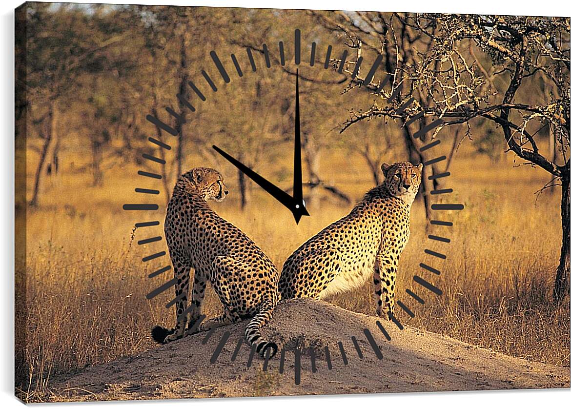 Часы картина - Гепарды