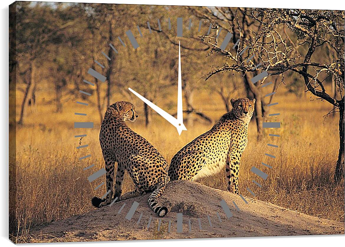 Часы картина - Гепарды