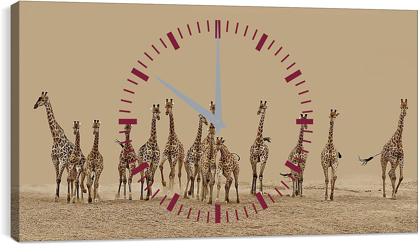 Часы картина - Жирафы