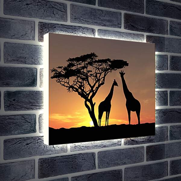 Лайтбокс световая панель - Жирафы
