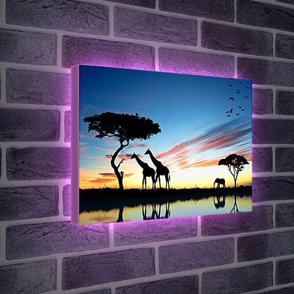 Лайтбокс световая панель - Жирафы и слон. Закат в африке
