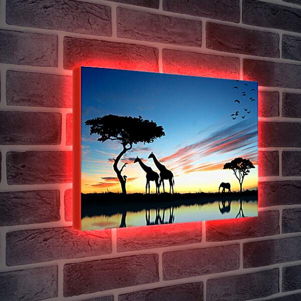 Лайтбокс световая панель - Жирафы и слон. Закат в африке