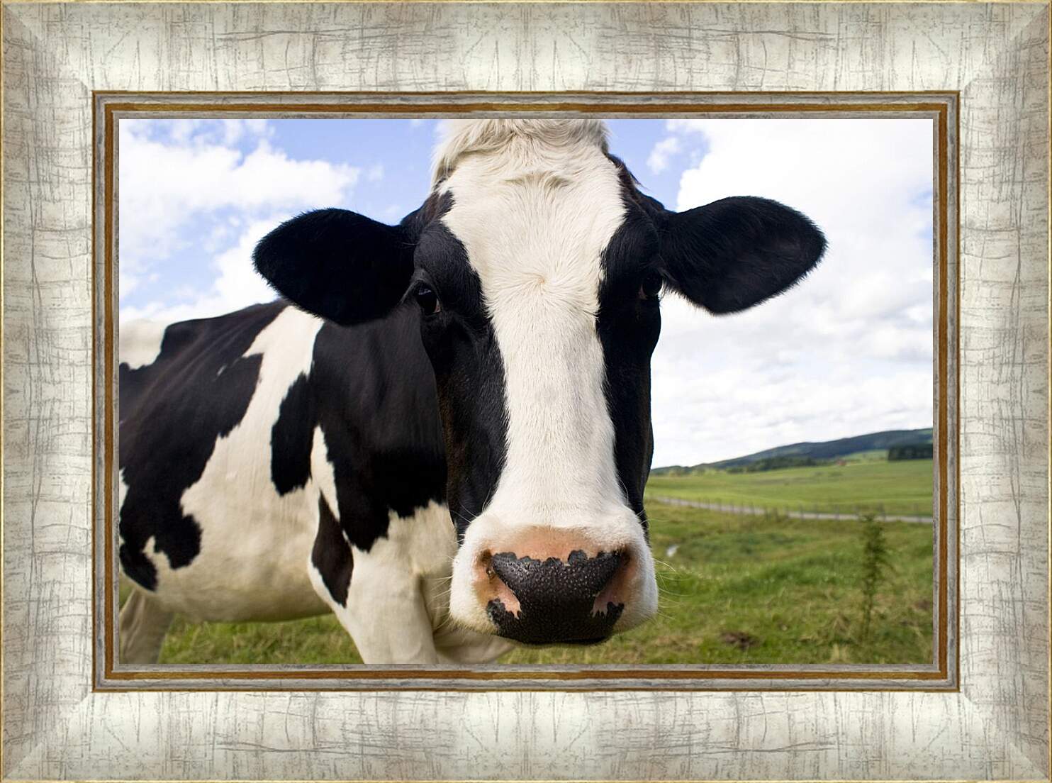 Картина в раме - Корова