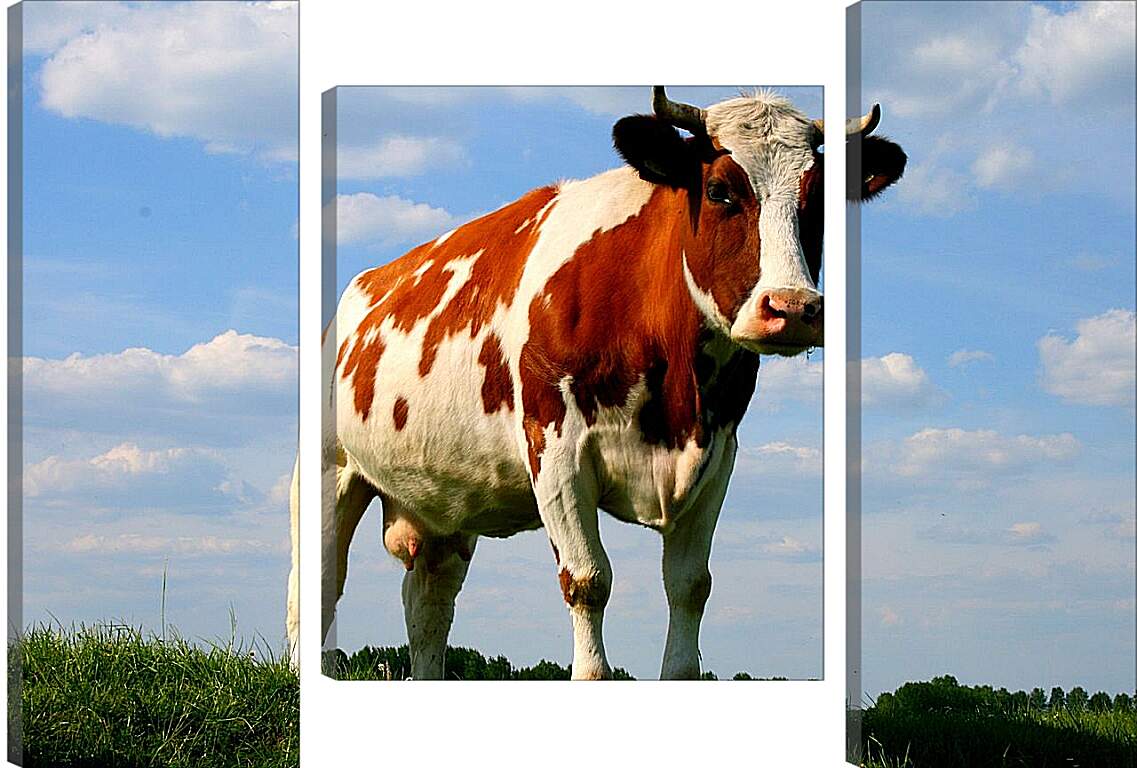 Модульная картина - Корова