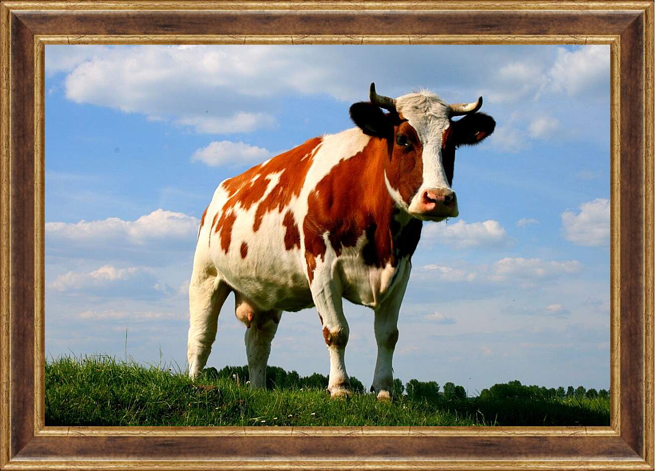 Картина в раме - Корова