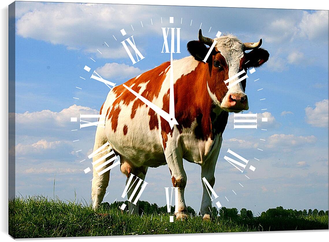 Часы картина - Корова