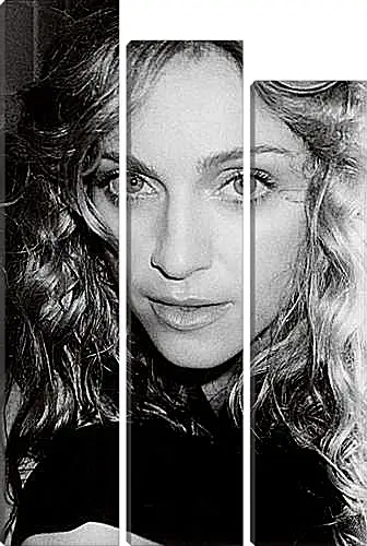 Модульная картина - Madonna - Мадонна
