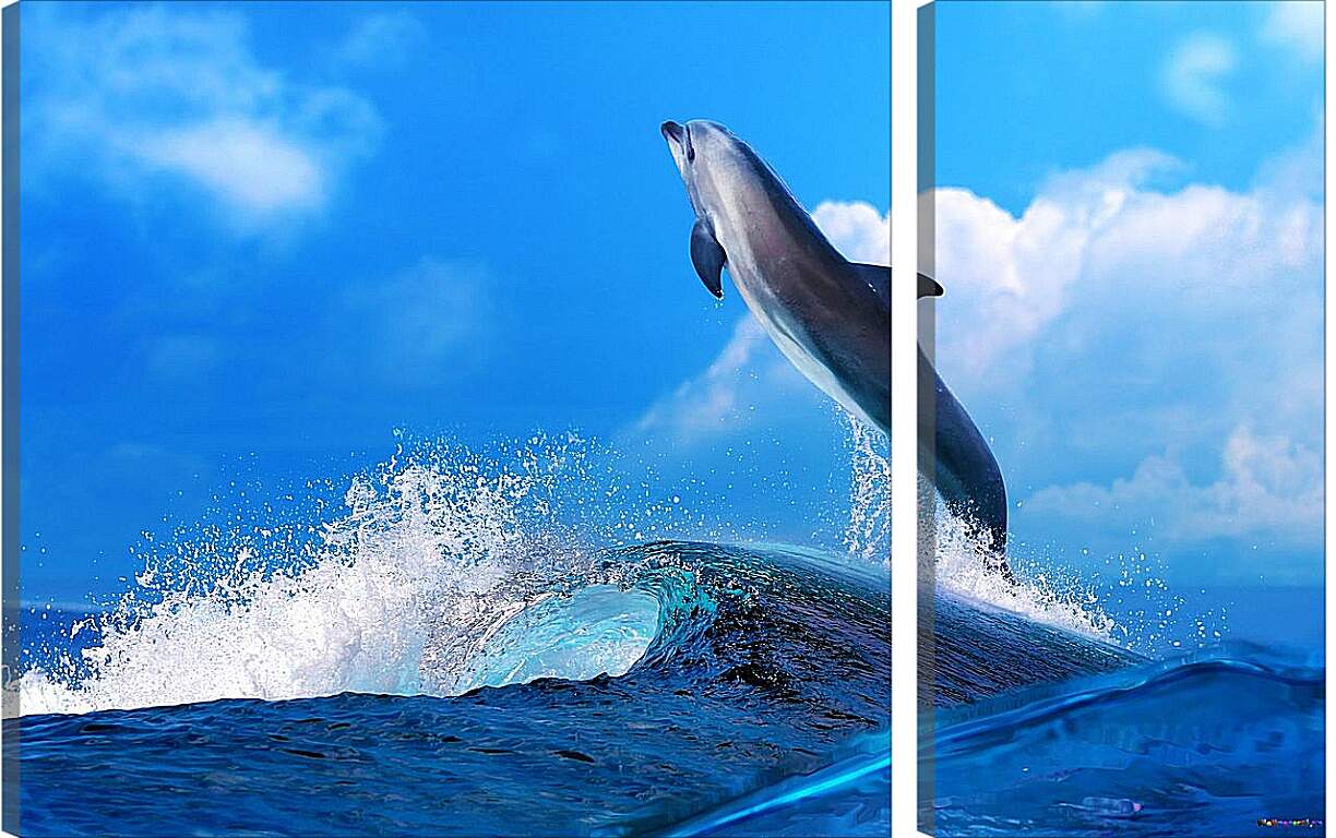 Модульная картина - Дельфин