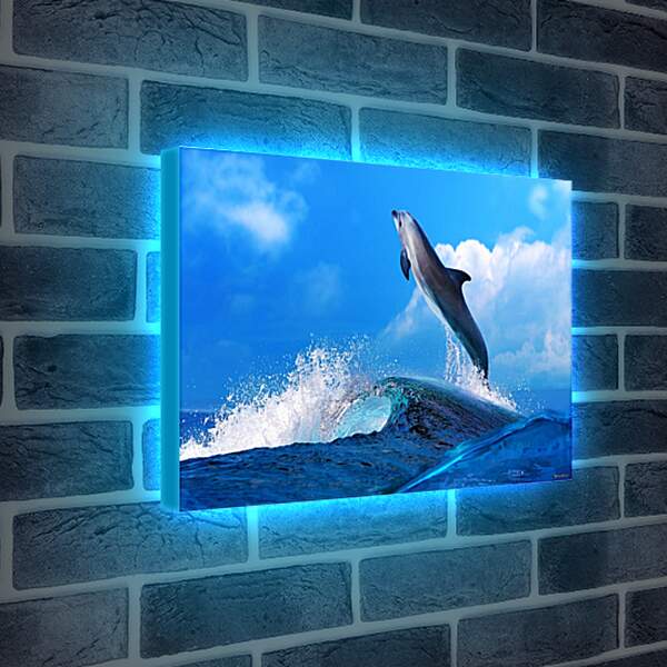 Лайтбокс световая панель - Дельфин