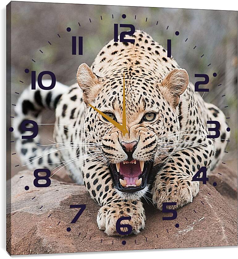 Часы картина - Леопард