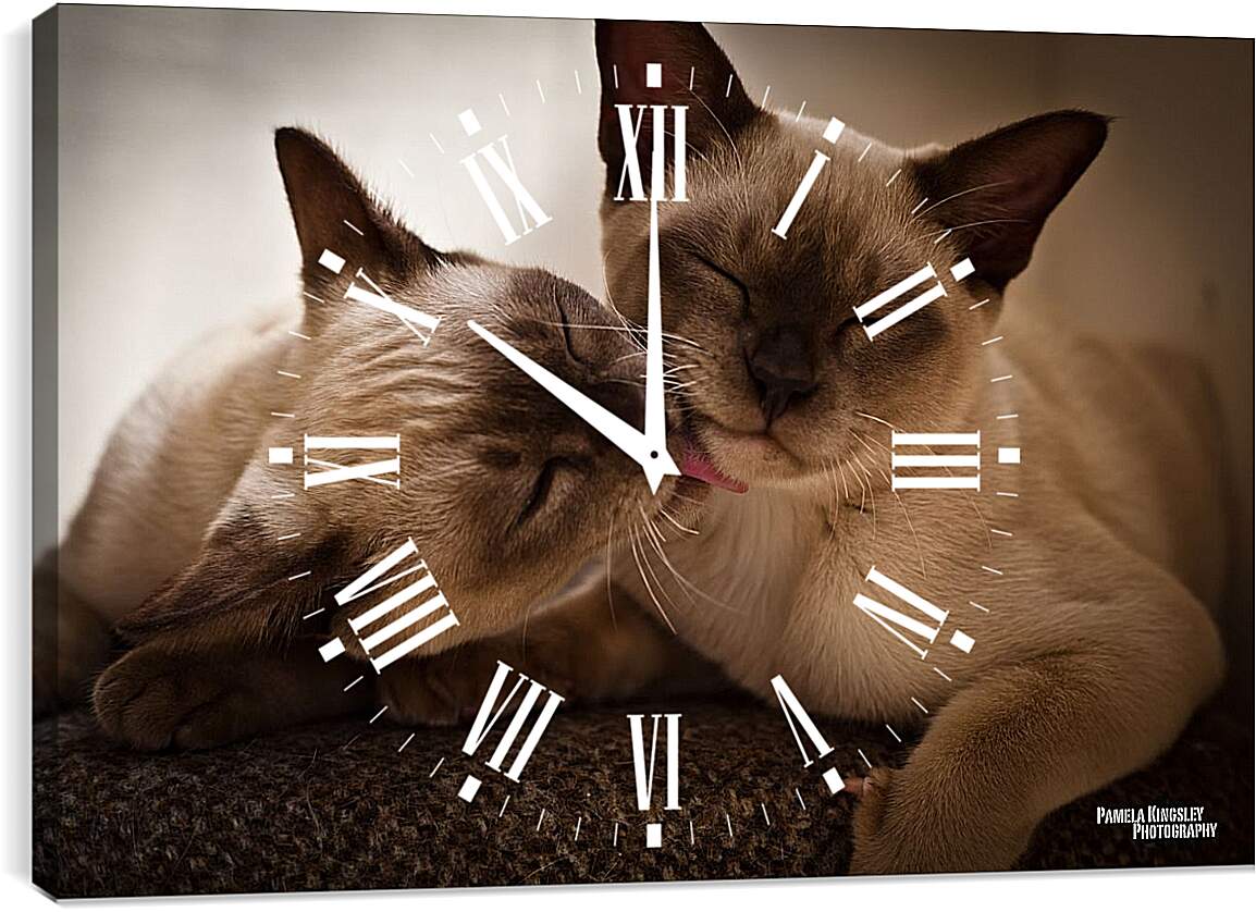 Часы картина - Сиамские коты