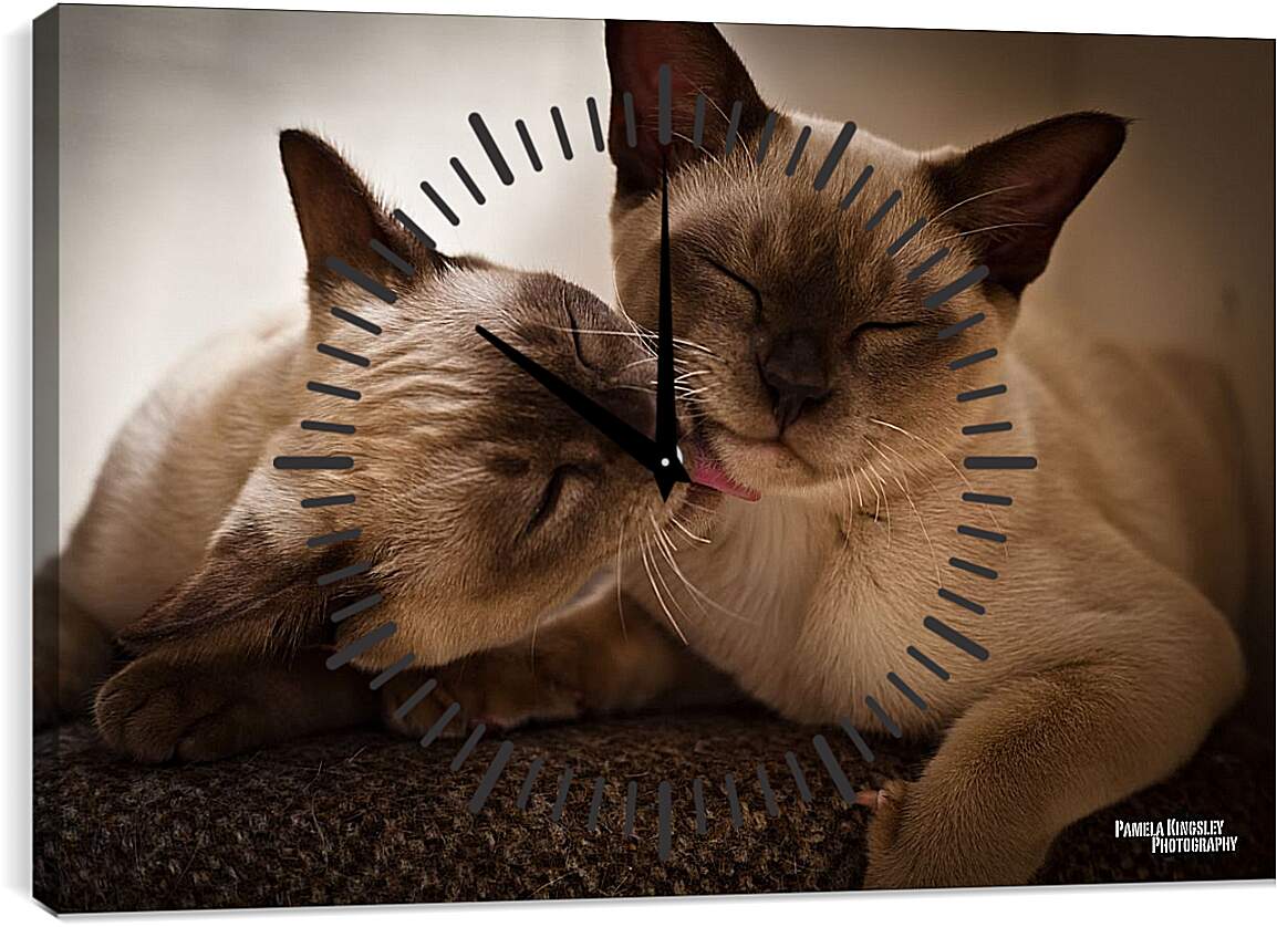 Часы картина - Сиамские коты
