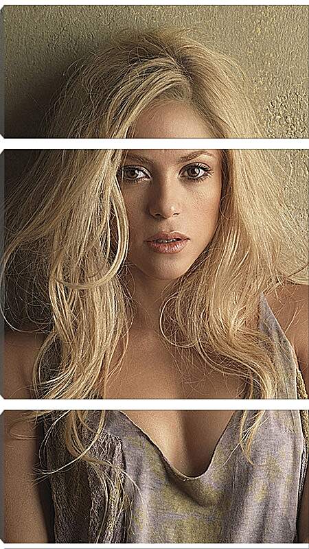 Модульная картина - Шакира (Shakira)