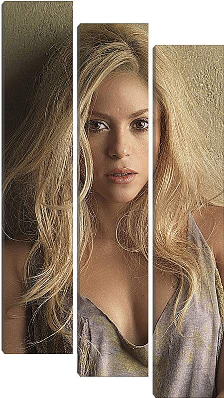 Модульная картина - Шакира (Shakira)