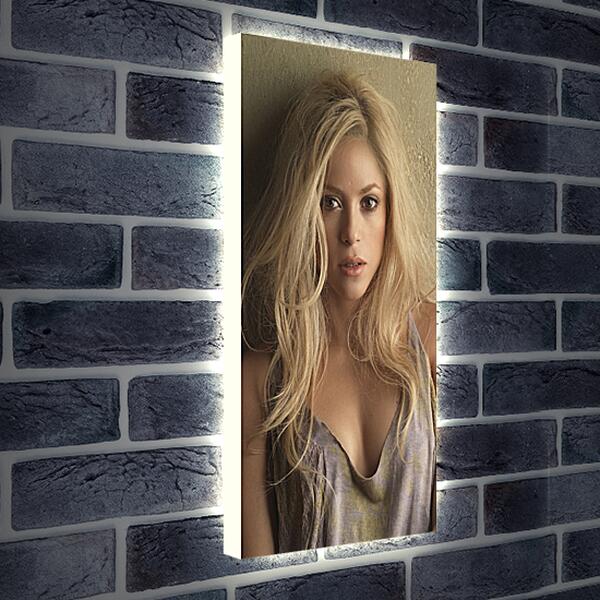 Лайтбокс световая панель - Шакира (Shakira)