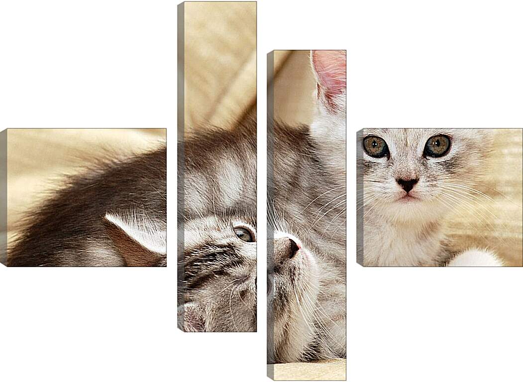 Модульная картина - Коты