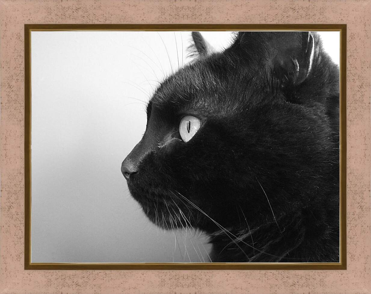 Картина в раме - Черный кот