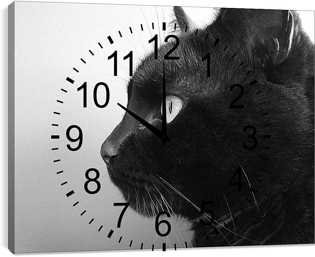 Часы картина - Черный кот