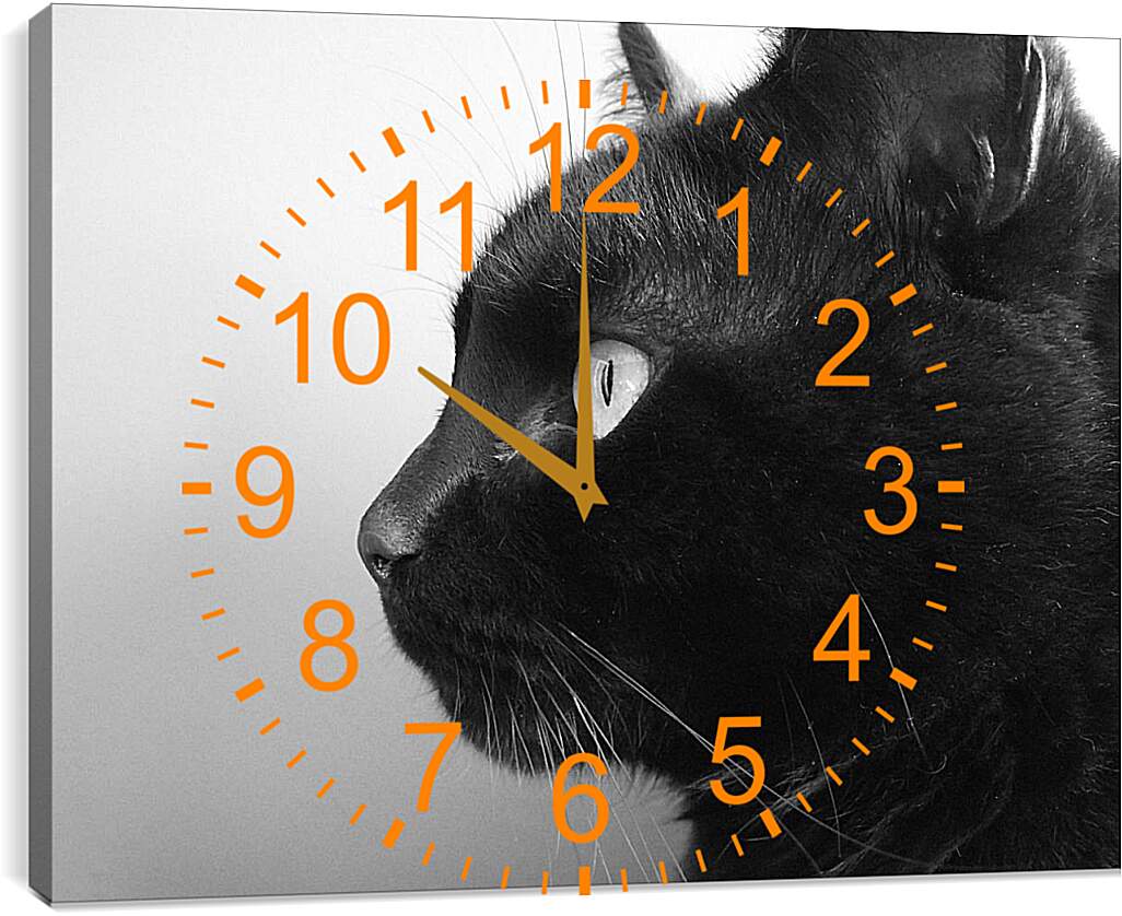 Часы картина - Черный кот
