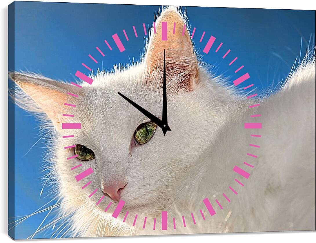Часы картина - Белый кот