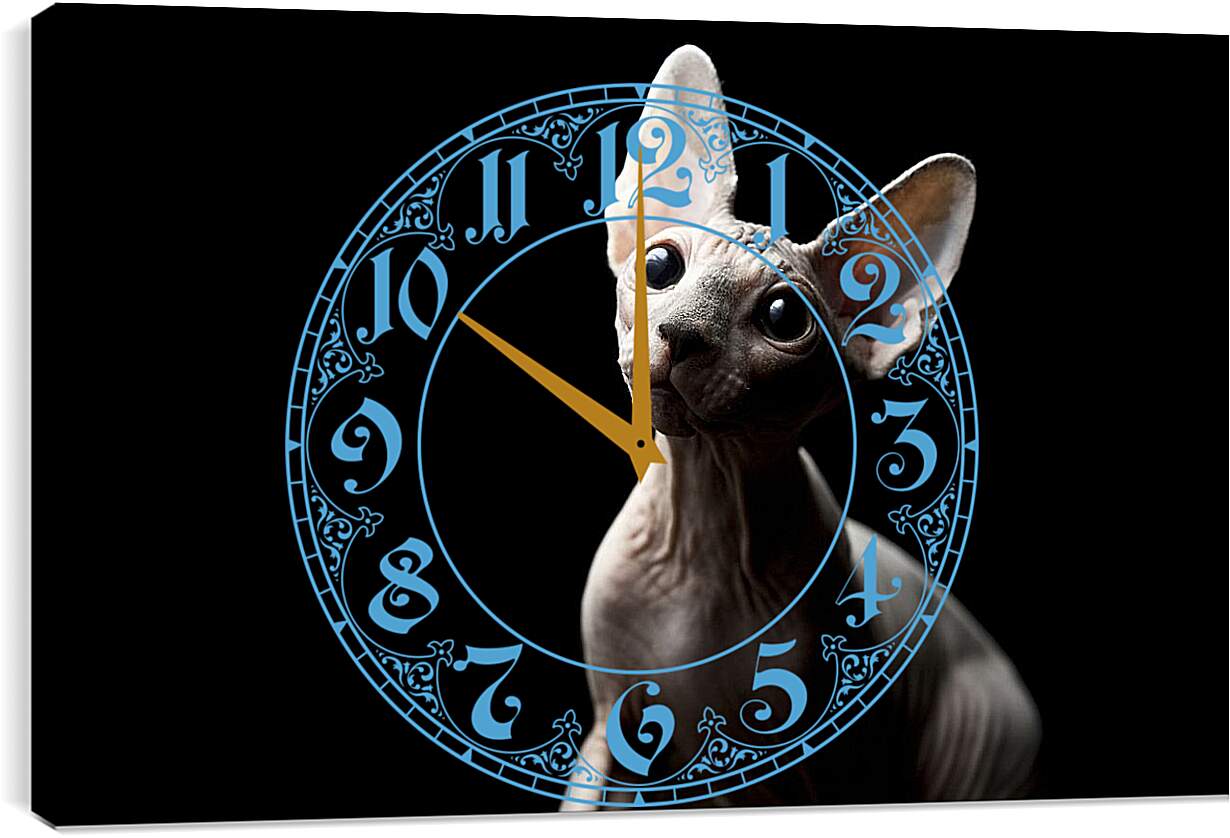 Часы картина - Кот на черном фоне