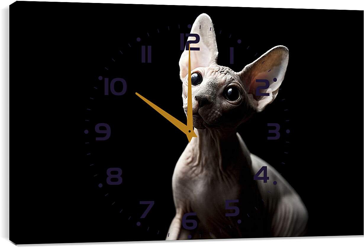 Часы картина - Кот на черном фоне