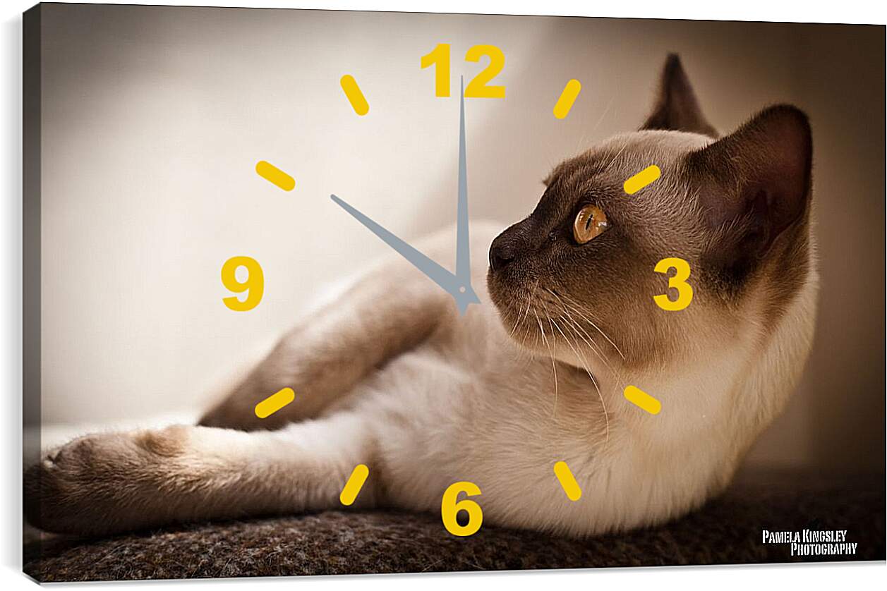 Часы картина - Сиамский кот