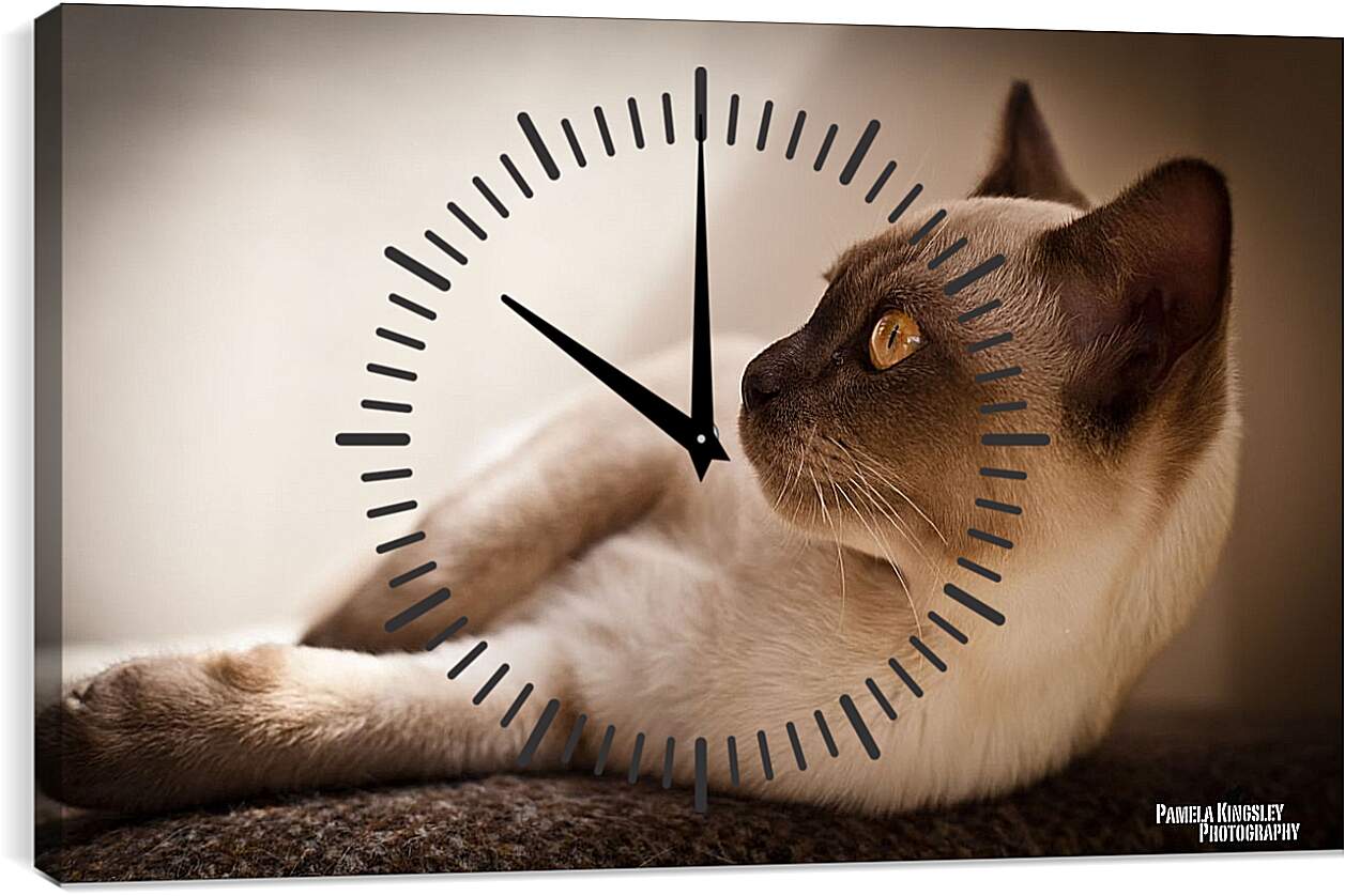 Часы картина - Сиамский кот