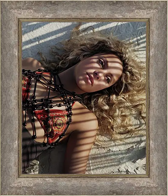 Картина в раме - Shakira - Шакира
