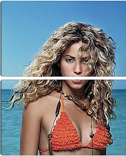 Модульная картина - Shakira - Шакира
