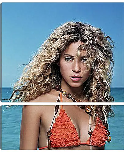 Модульная картина - Shakira - Шакира
