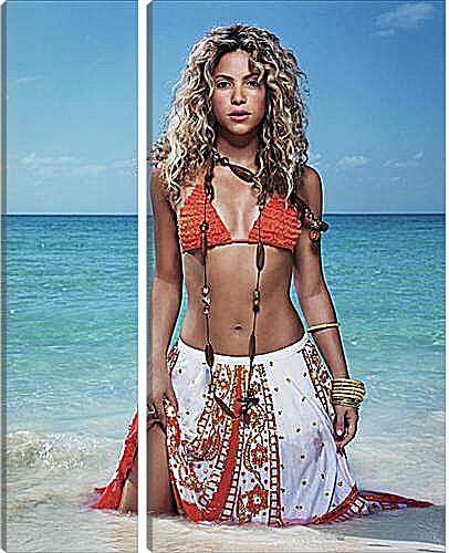 Модульная картина - Shakira - Шакира
