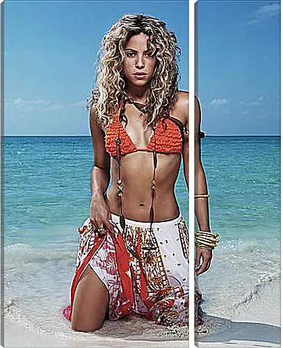 Модульная картина - Shakira - Шакира

