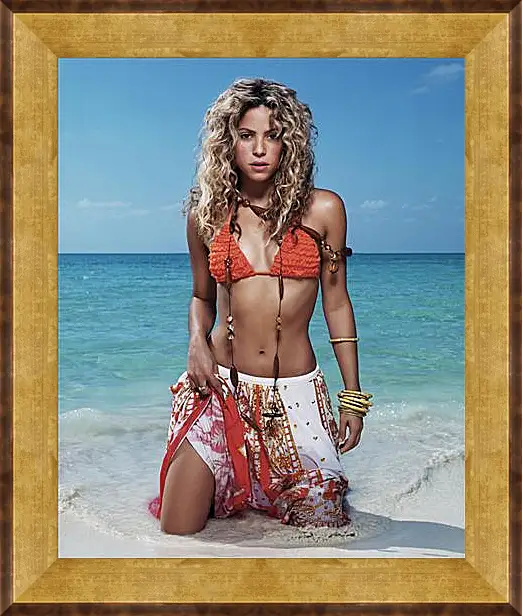 Картина в раме - Shakira - Шакира
