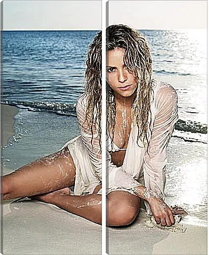 Модульная картина - Shakira - Шакира
