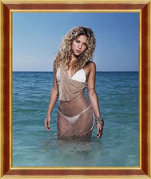 Картина в раме - Shakira - Шакира
