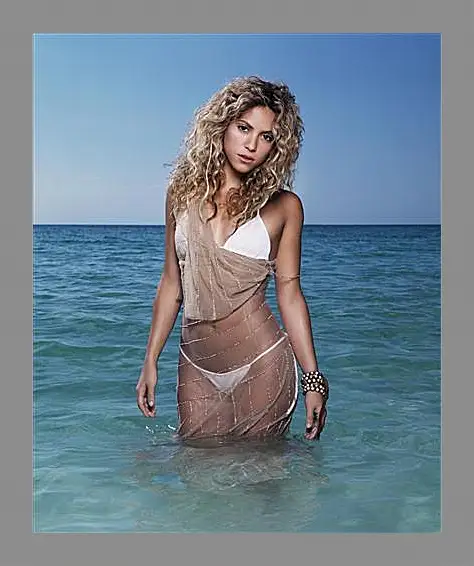 Картина в раме - Shakira - Шакира
