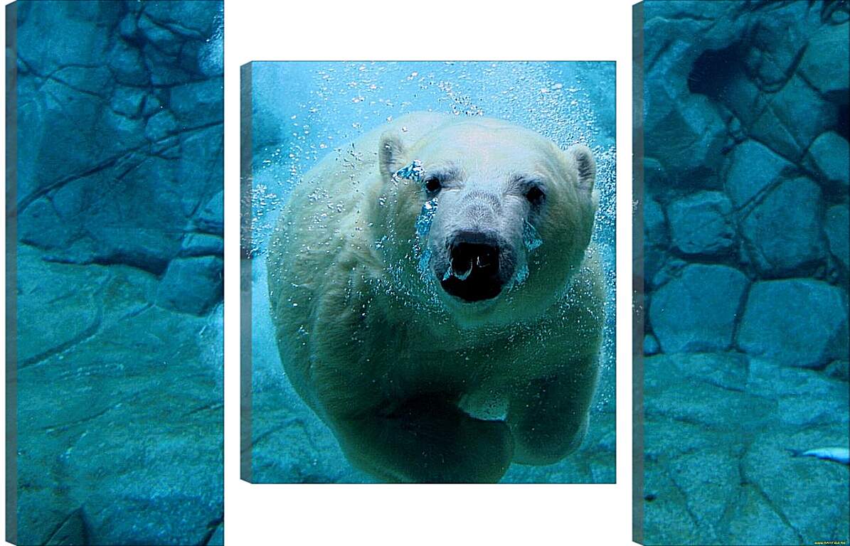 Модульная картина - Белый медведь в воде