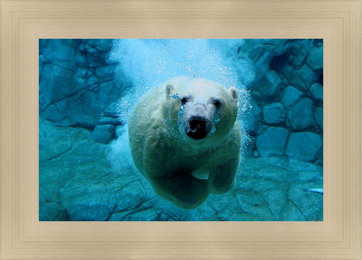 Картина в раме - Белый медведь в воде