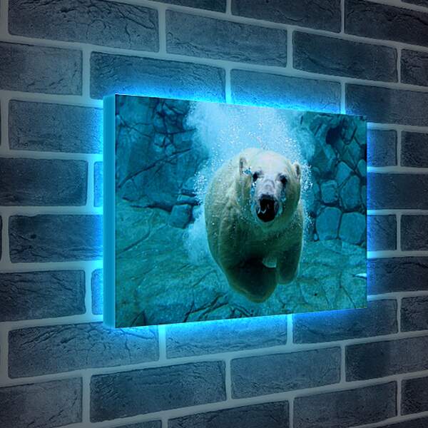 Лайтбокс световая панель - Белый медведь в воде