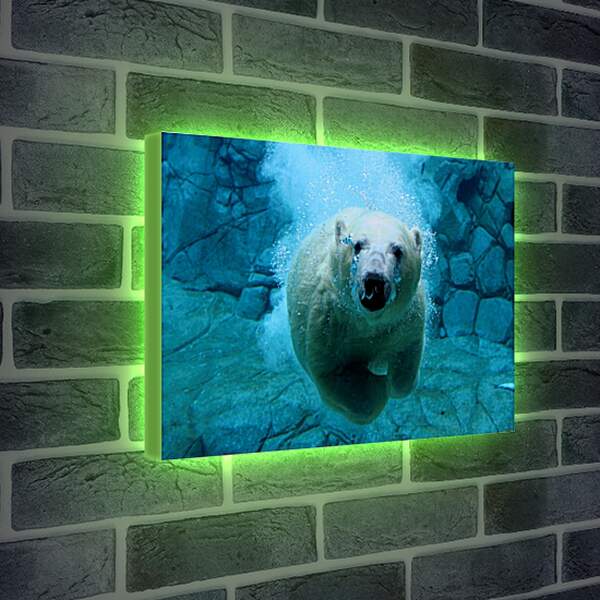 Лайтбокс световая панель - Белый медведь в воде