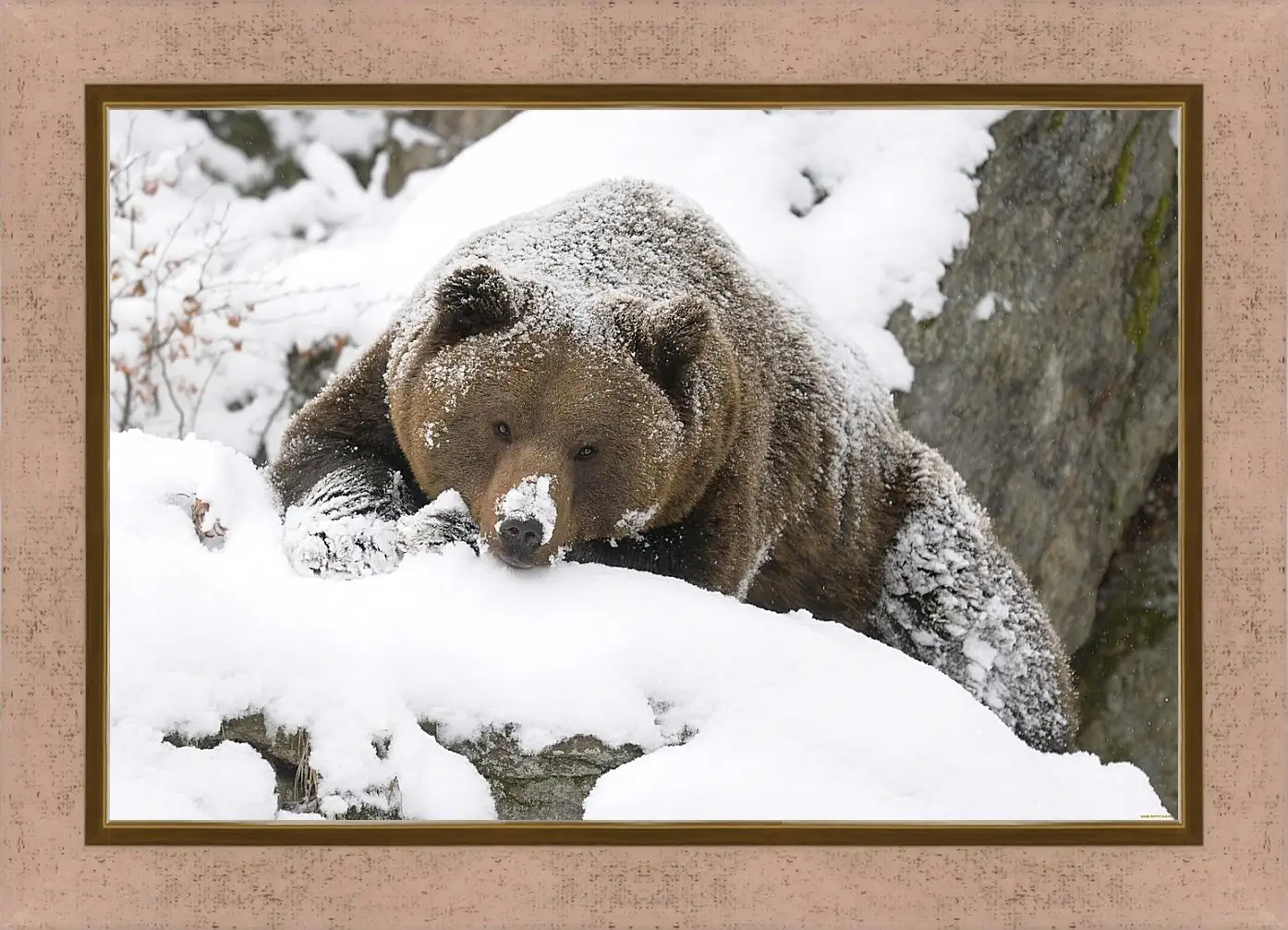 Картина в раме - Медведь в снегу