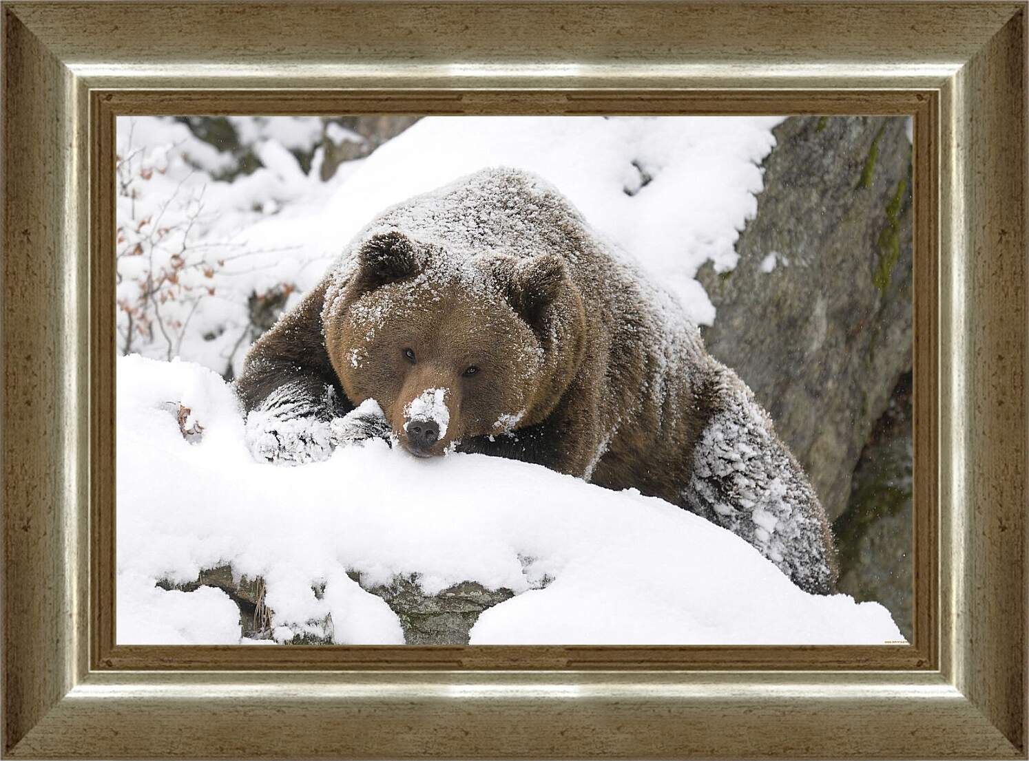 Картина в раме - Медведь в снегу