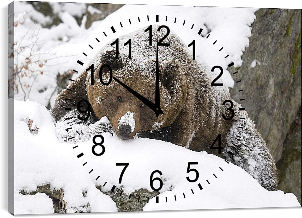 Часы картина - Медведь в снегу