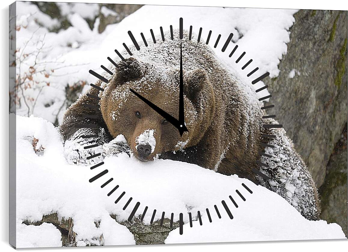 Часы картина - Медведь в снегу