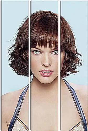 Модульная картина - Milla Jovovich - Милла Йовович
