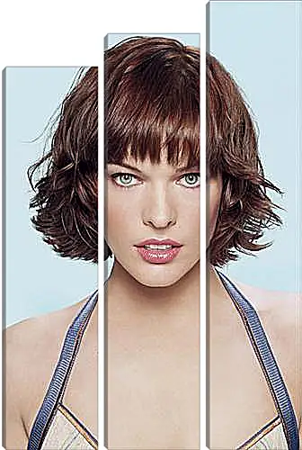 Модульная картина - Milla Jovovich - Милла Йовович
