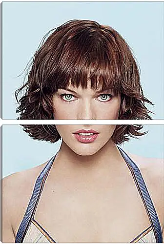 Модульная картина - Milla Jovovich - Милла Йовович
