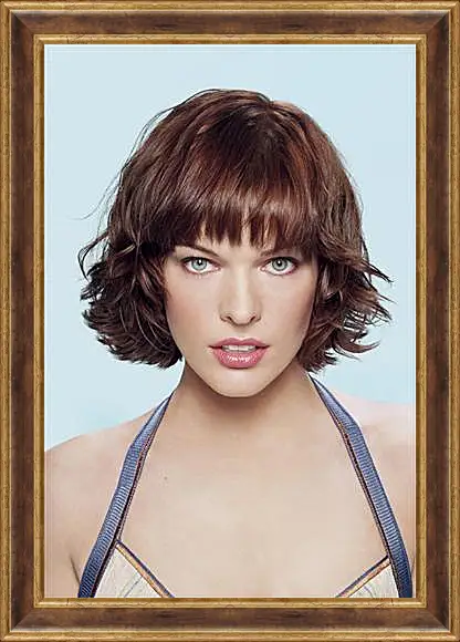 Картина в раме - Milla Jovovich - Милла Йовович
